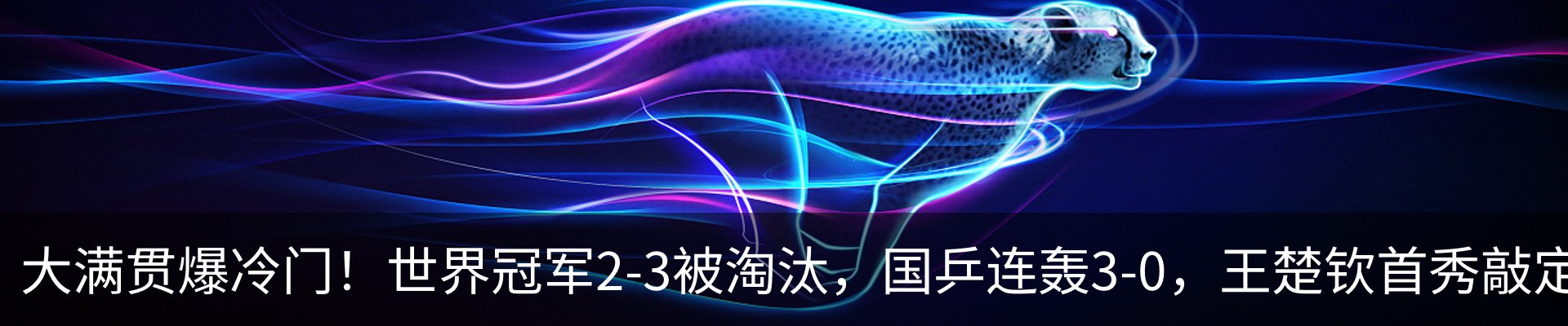 新闻动态